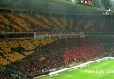 ARENA'YI COŞTURAN KAREOGRAFİ