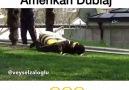 Arı Dayı - Amerikan Dublaj