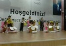 Arı Kelebek Rondu