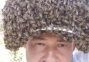 Arıları Baş Tacı Yapan AdamKaynak Yılmaz Şahin
