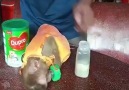 Arızalı Paylaşımlar - cute monkey Facebook