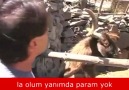 Arkadaşım borcunu isteyince (TEMSİLİ)