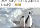 Arkadaşını Etiketle D