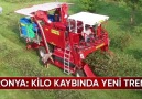 Aronya - Formda Kalmak İsteyenlerin Yeni Tercihi Kısa...