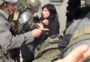 Arresting a Palestinian woman