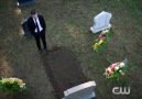 Arrow - "Revenge" Tanıtım