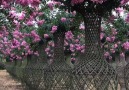Art & Crafts - beautiful bonsai garden. how did they do that Facebook