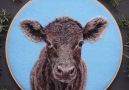 Artist Dani Ives paints animals with needle and wool goo.glgWXuT8