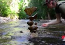 Artist From the Rockies Balances Rocks