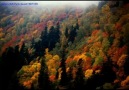 ARTVİN'İN GÜZELLİKLERİ.( artvin 08 cennetim benim.)