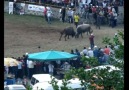 Artvin Kafkasör Şenlikleri