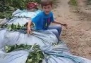 Artvinli Küçük Erenden DinleyelimYamaç köyü çavuşlar videoHakan mutlu