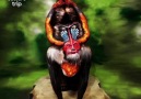 Art Visions - Johannes Stotter Body Art by Culture Trip Facebook
