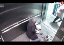 Asansörde kendini vuran sakar polis!