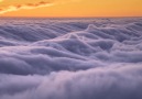 A sea of fog in California