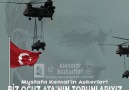 Asenalar Bozkurtlar - BİZ OĞUZ ATA&TORUNLARIYIZ Facebook