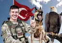 Asenalar Bozkurtlar - Kurtlar Gelir Ardından Facebook