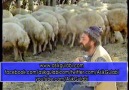 Aşık Gülabi - Alıştım ( TV'de İlk Kez)