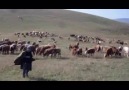 Aşık Ilgar Çiftcioğlu - Viran Köyü