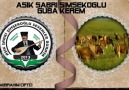 AŞIK SABRİ ŞİMŞEKOĞLU****(GUBA KEREM)****