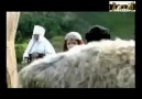 Asılbek Ensepov-Aday-Qazaqstan