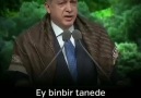 Asıl bu kadar hizmetine rağmen sana oy... - Ayşe Sercan Sarıgül