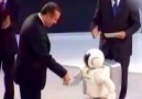 Asimo Reis