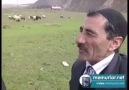 Aşırı heyecanlı Bingöllü çoban... )