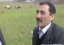 Aşırı Samimi Bingöllü Çobanla RöportajKaynak Mehmet Şelli