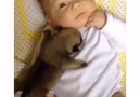 Aşırı sevimli köpek ile aşırı sevimli bebek :)