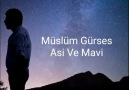 Asi Ve Mavi - Sadece Müslüm Baba