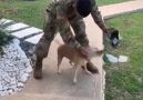 Askerden gelen dostunu görünce çok mutlu olan köpekçik