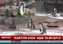 Aşkından öldü!