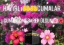 AşkYanmayaRazıOlmaktı - Facebook