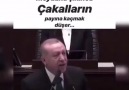 Aslanlar meydana çıkınca çakalların payına kaçmak düşer..