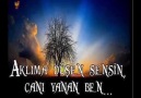 AsLaN YüReKLi ŞİİR - KARANLIĞIN GÖZLERİ!.. AsLaN YüReKLi Facebook