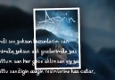 Asrın(CeyhanPanic)-Sessiz Hayrıkışlar-2013