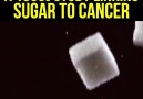 A 1960s Study Linking Sugar To Cancer Was Never Published Until Now