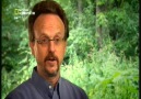 Astreoid Carpmasi 24 Saat sonra -  (3)