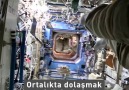 Astronotların yayınladığı görüntüler uzaydaki yaşama ışık tutuyor