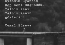 Asya Yavuz - Dağ dağa kavuştu insan insana yine hasret...