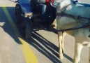 At arabacilar Ehliyet için direksiyon Sinavina girerse.