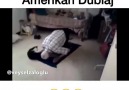 Ateist Kedi Amerikan Dublajı (Günah points kasan kedi )