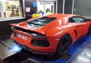 Ateş Püsküren Aventador