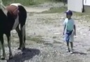At Güzel Hayvandır ama Siz Yine de Dikkatli Olun