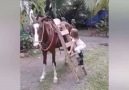 At İle Minik Çocuğun Dostluğu
