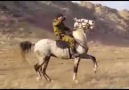 Atın üstündeki Türk değilse yüktür!Kazakistan