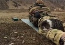 Atış Talimi Yapan Askerin Baldırına Uzanıp Keyif Çatan Kedi