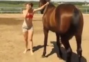 At Kızdan Akıllı Çıktı