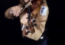 Attack on Titan Theme (Guren no Yumiya) - Violin - Taylor Davis